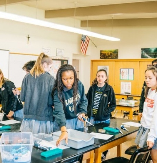 summer_school-149-2-scaled